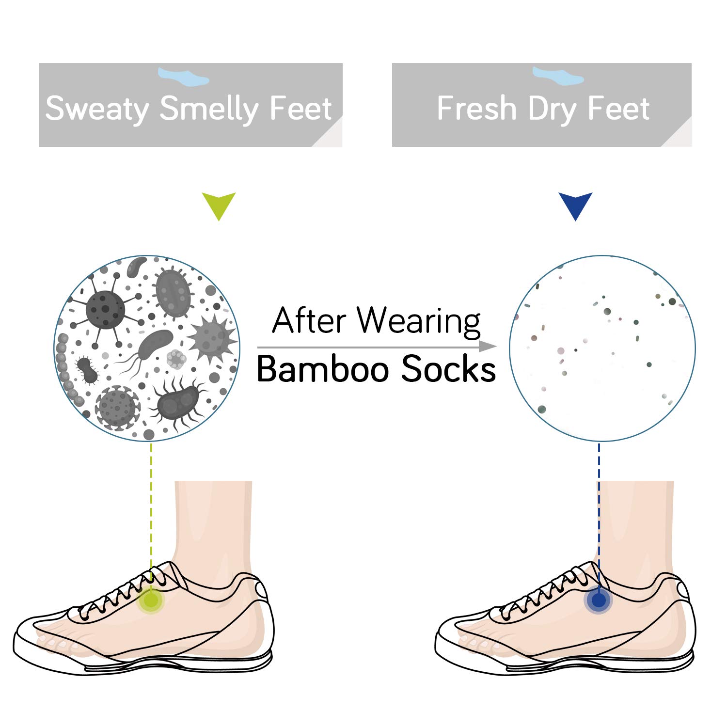 6 Pairs Low Cut Socks for Men & Women - Athletic Running & Casual Wear