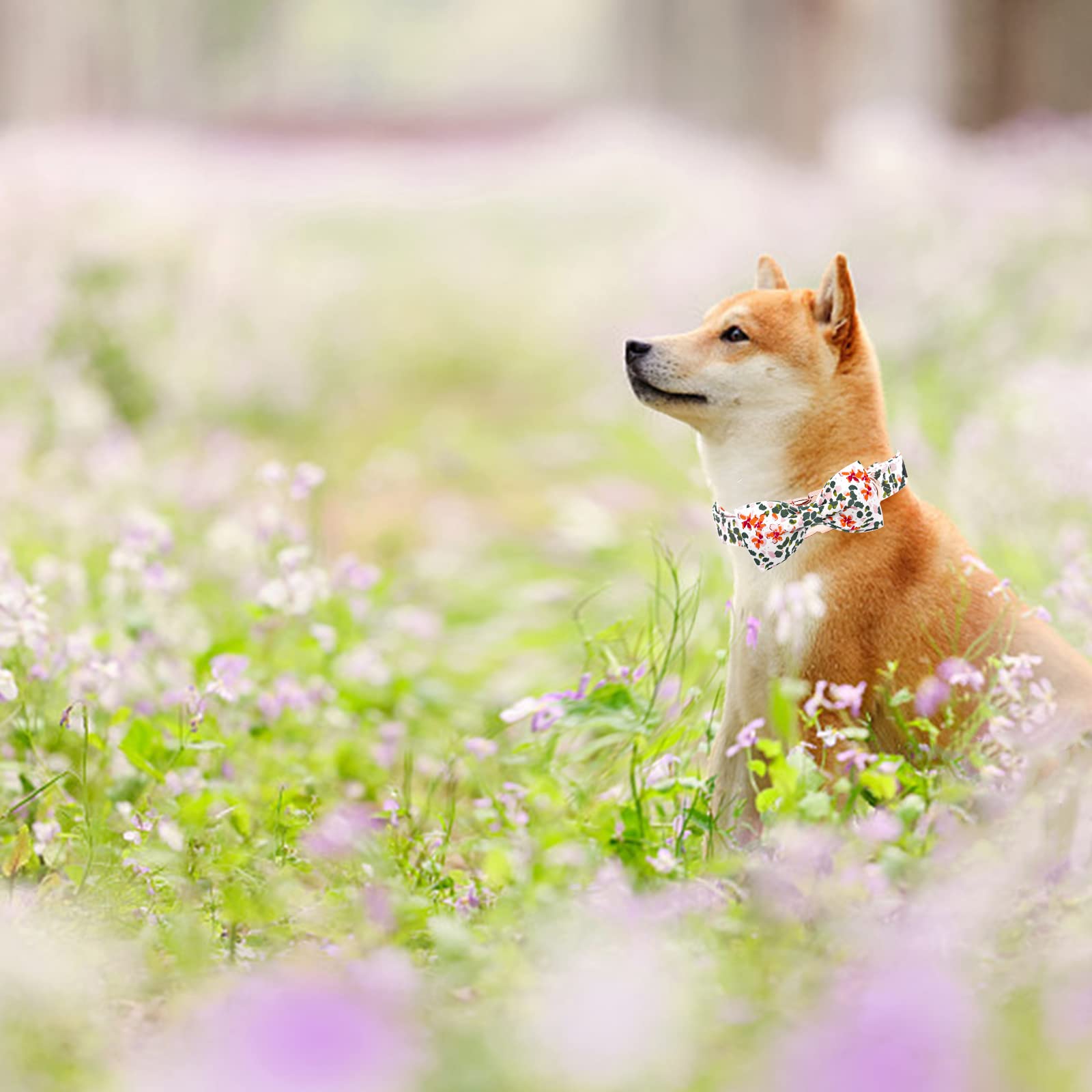Elegant Adjustable Dog Collar with Bowtie & Spring Flower - Cute Pink Pet Collar for Large Dogs - Perfect for Walks, Parties & Photo Shoots