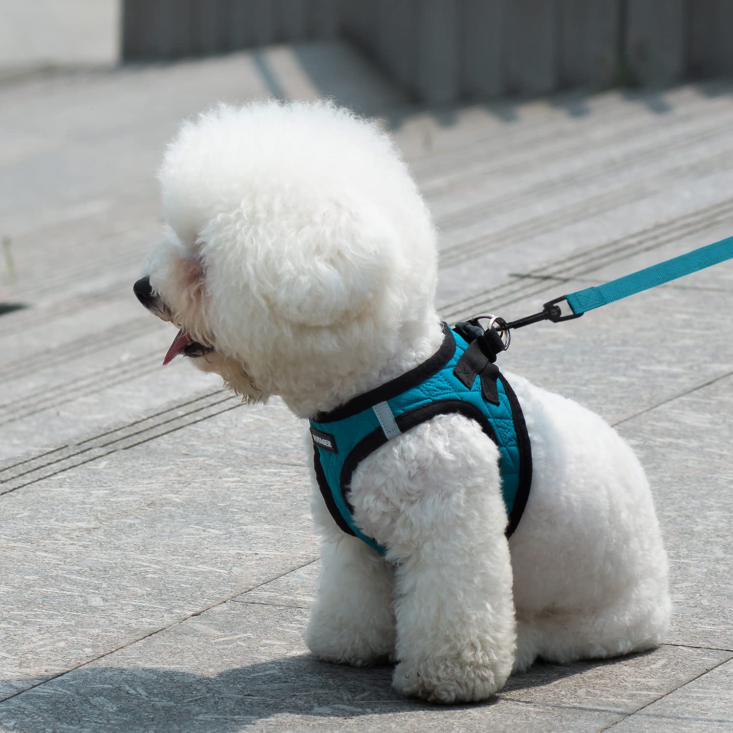 Best Pet Supplies Voyager Step-in Plush Dog Harness - Soft Comfortable Vest for Small & Medium Dogs, Easy to Wear, Red Plush (Leash Bundle Included) - XS (13-14.5