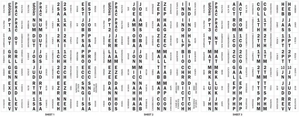 20-Pack Large Print Silver-Edged Bible Indexing Tabs with Display - 84 Tabs for Old & New Testaments (64 Books & 20 Reference Tabs) - Perfect for Bible Study, Church Services & Personal Scripture Organization (58344)