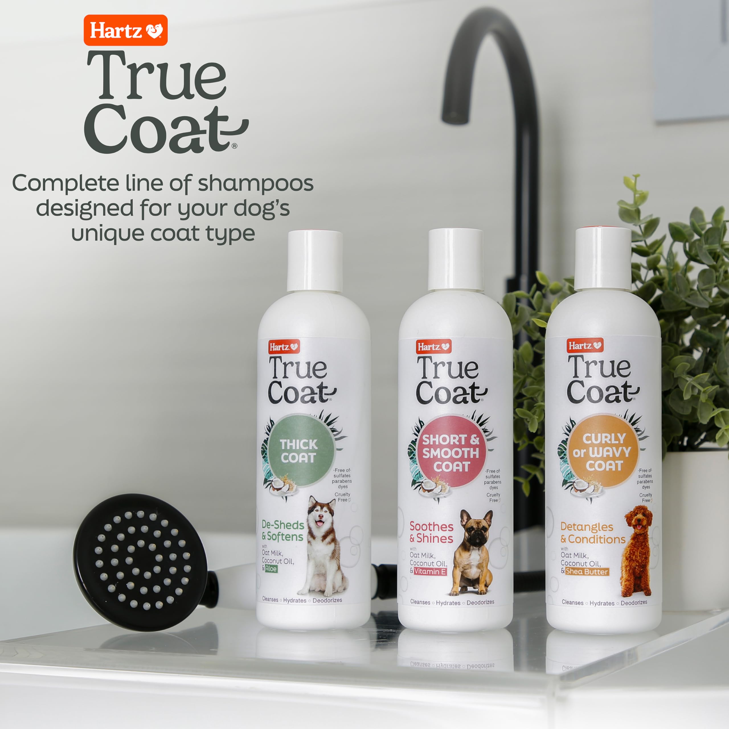 Hartz True Coat Short & Smooth Coat Dog Shampoo - Oat Milk, Coconut Oil & Vitamin E Formula for Soothing & Shining - Gentle Cleansing for Short-Haired Dogs - Perfect for Bath Time & Grooming Sessions