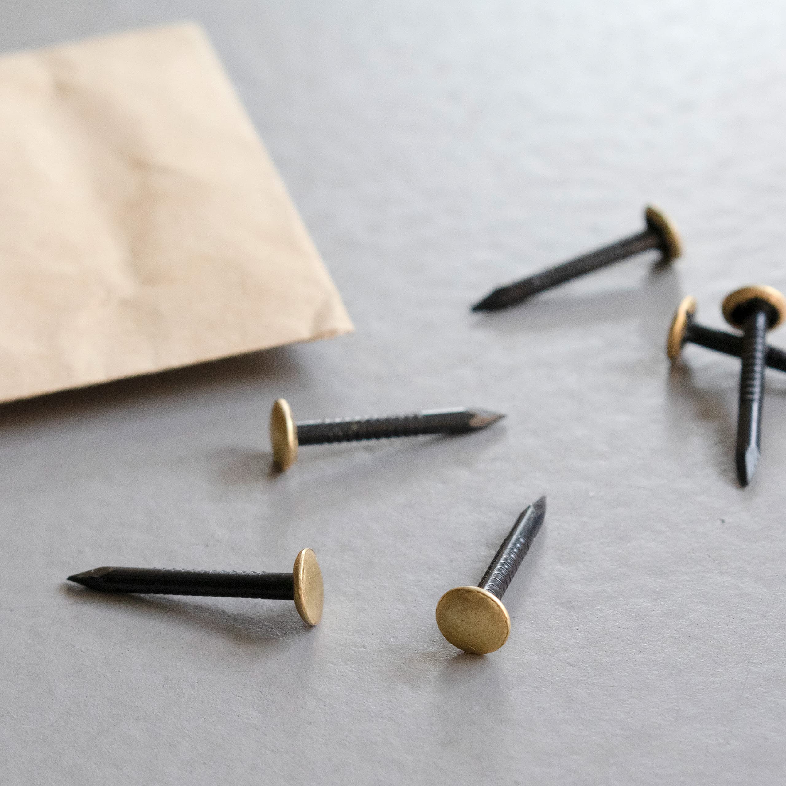 TOX Home Classic Picture Nails 2x20mm - Hardened Steel with Brass Head - Universal Picture Hanging Nails for Wood, Drywall, Concrete & All Building Materials - Pack of 20 (063600100) - Perfect for Hanging Photos, Frames, Mirrors & Wall Decor