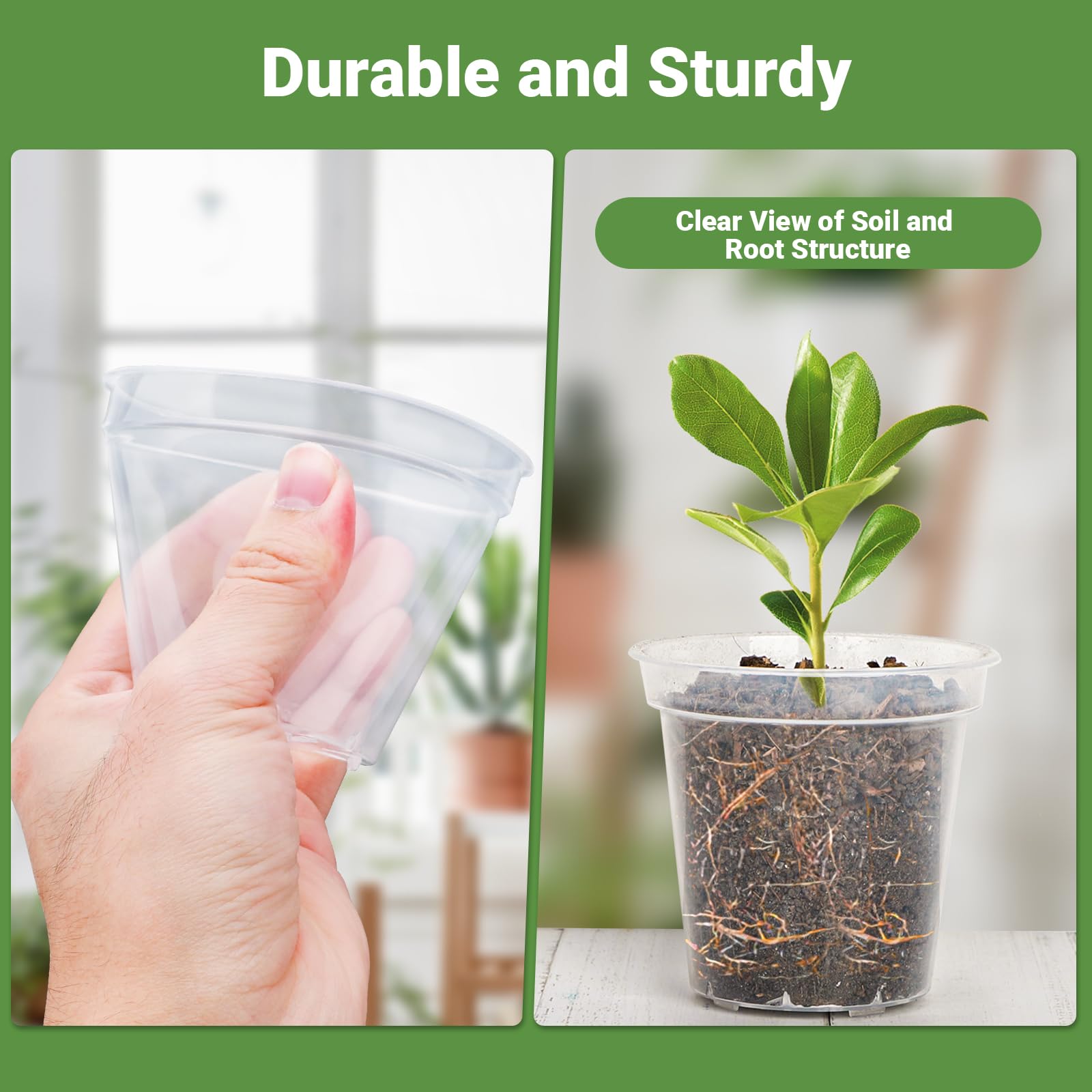 GREANER 60 Pack 3 Inch Clear Plastic Nursery Pots with Drainage Holes - Reinforced Seed Starter Pots for Indoor & Outdoor Plants - Includes 20 Plant Labels (Transparent) - Perfect for Gardening, Seedlings, Succulents & Herbs