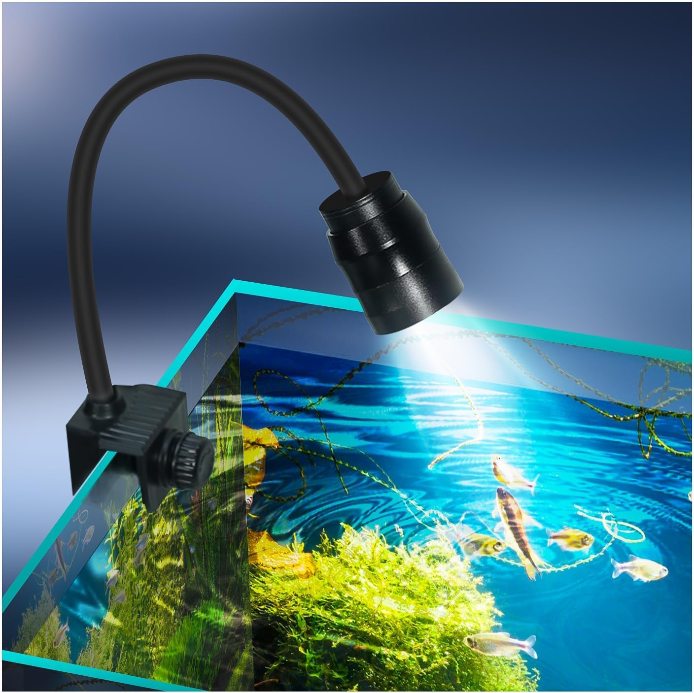 UPETTOOLS Full Spectrum LED Aquarium Light for Fish Tanks - 10W Adjustable 3-Color Lighting with Zoom Function | Perfect for Plant Growth, Coral Reefs & Aquatic Life (10-20 Gallon Tanks)