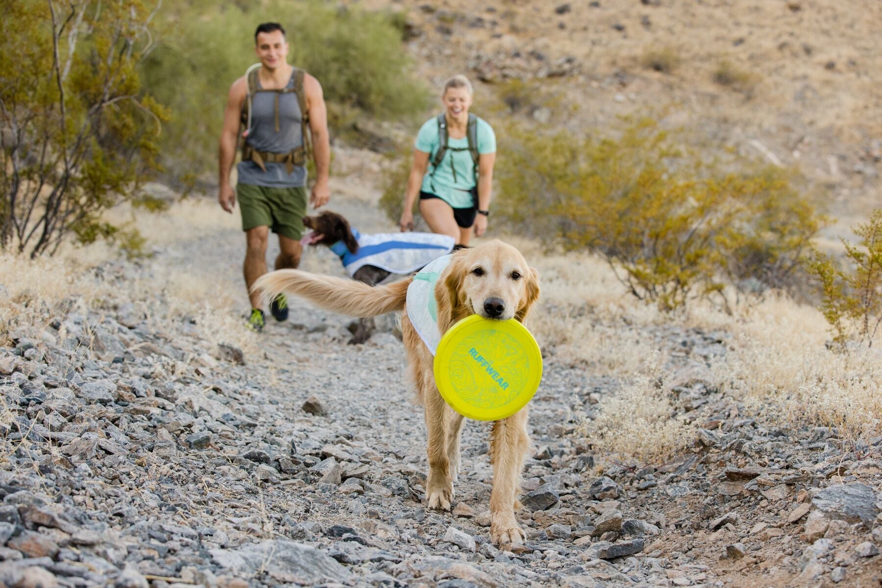 Ruffwear® Camp Flyer Disco & Plate Dog Bowl - Phosphorescent Green (Lichen Green) for Camping, Hiking & Outdoor Adventures