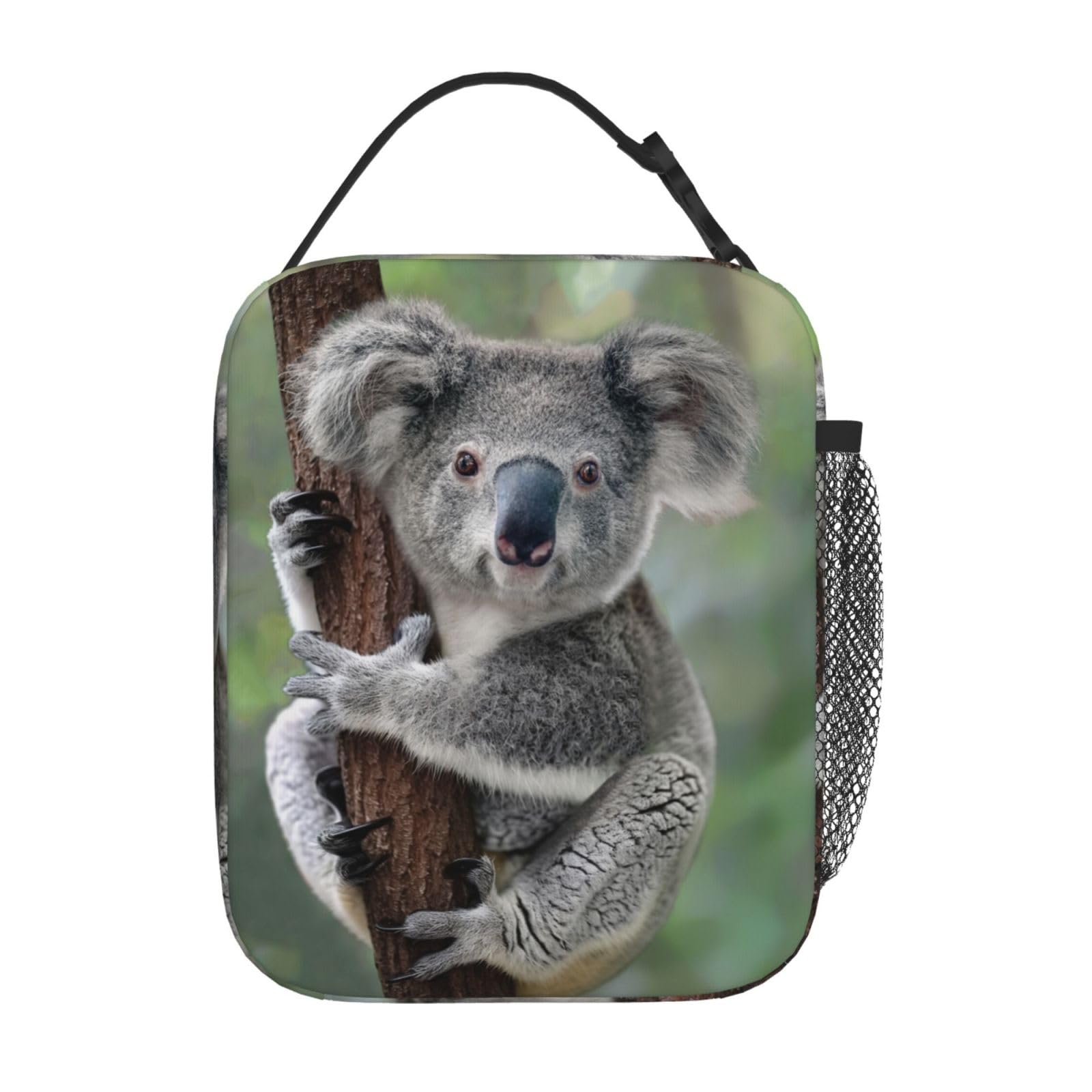 Insulated Reusable Koala Lunch Box - Cute Animal Design Lunch Bag for Men, Women, Teens & Kids | Portable Cooler Tote for Office, School, Travel & Picnics | BPA-Free & Leak-Proof Lunchbox