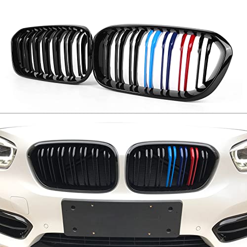 Gloss M Color