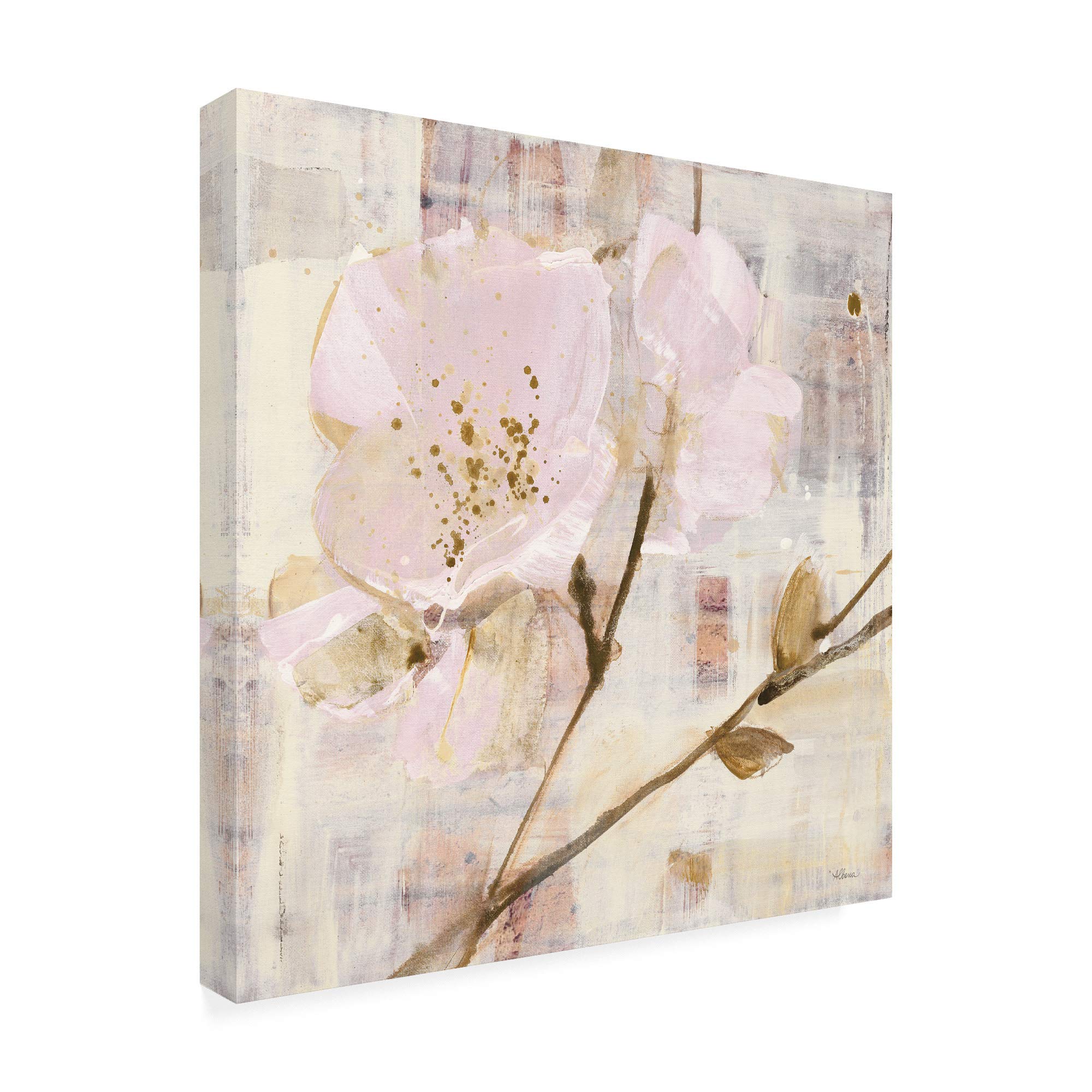 Trademark Fine Art Elegance I Pink by Albena Hristova - 18x18 Inch Square Canvas Wall Art - Perfect for Living Room, Bedroom & Office Decor