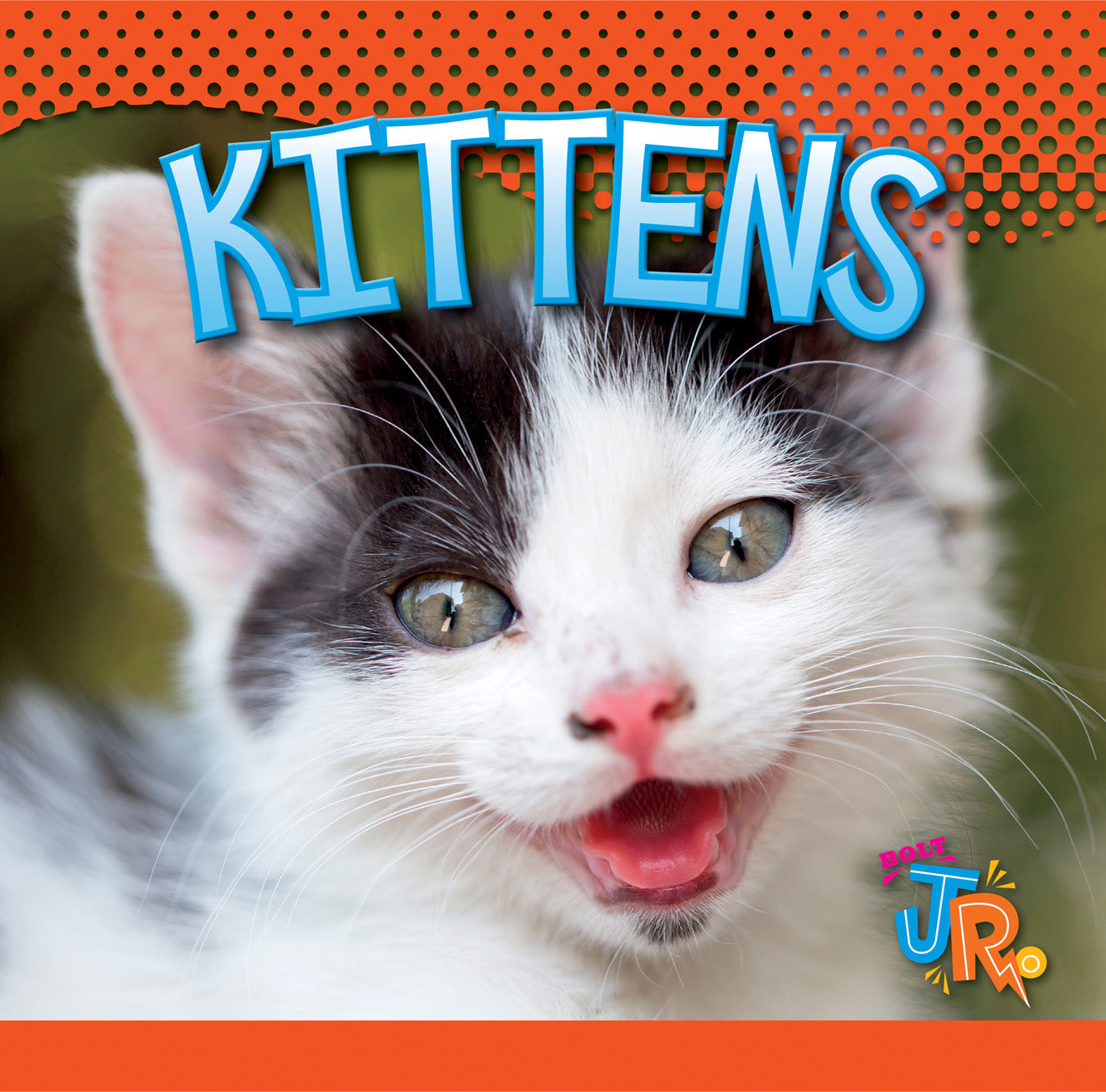 Kittens Book 9781623101398 - Adorable Feline Guide for Cat Lovers, Perfect for Pet Owners & Animal Enthusiasts