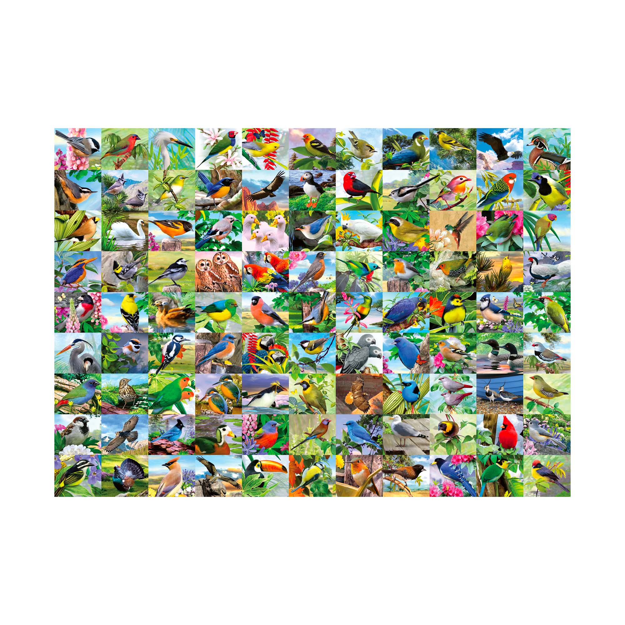 300 Piece XXL Jigsaw Puzzle - Beautiful Birds Landscape for Adults & Kids, Perfect for Family Game Night, Stress Relief & Home Decor