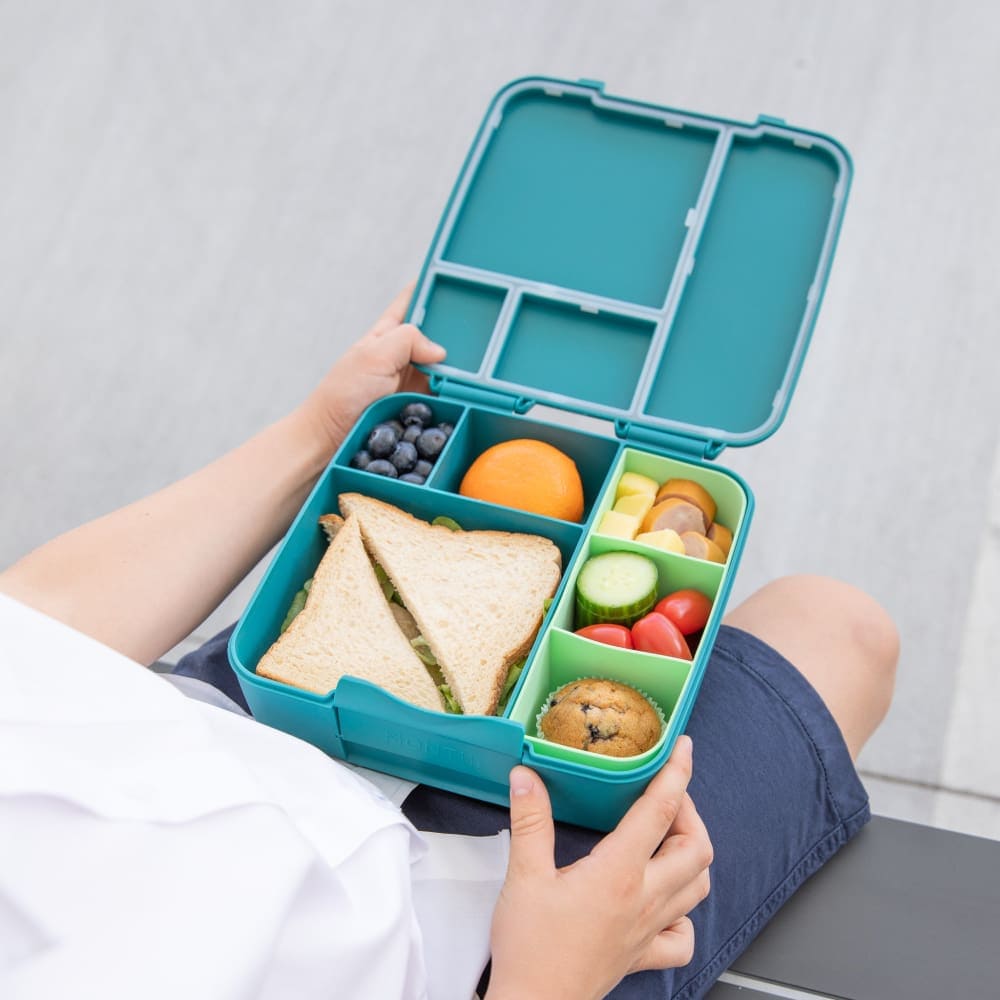 Pine Feast Leakproof Bento Lunch Box for Kids & Adults - Perfect for School, Work & Picnics