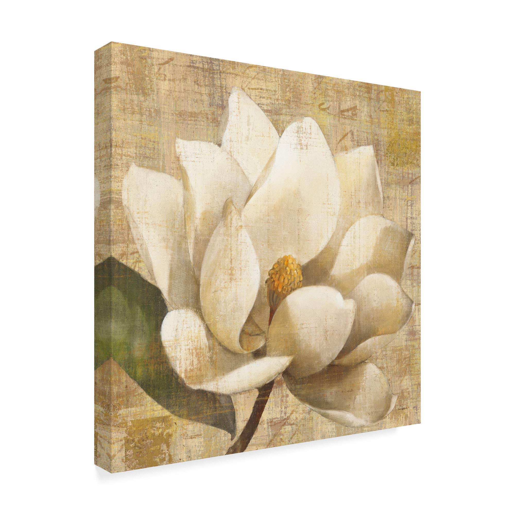 Trademark Fine Art Magnolia Blossom on Script by Albena Hristova - 18x18 Inch Floral Wall Art - Perfect for Living Room, Bedroom & Office Decor