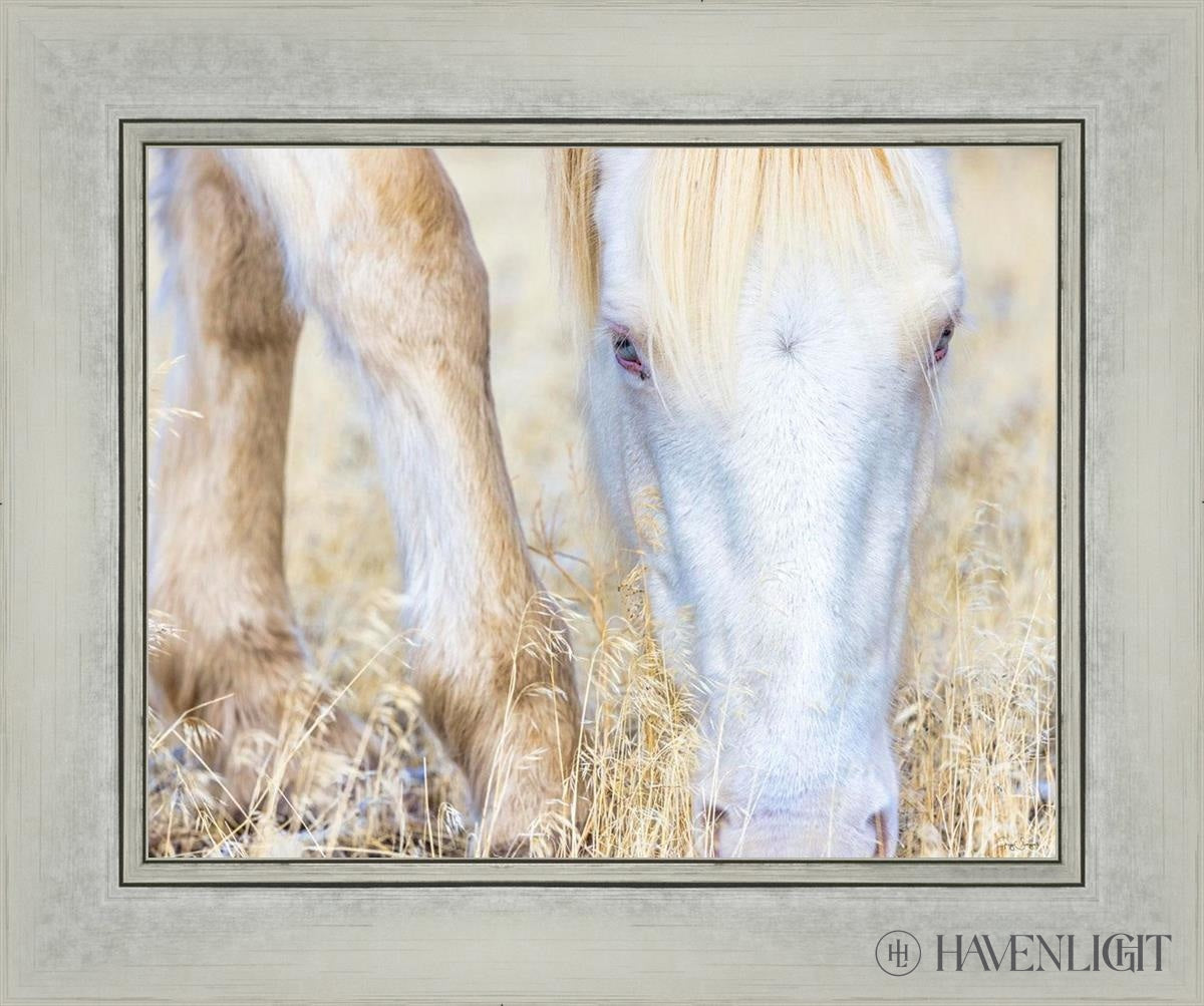 Dry Grass by Greg Sargent - Premium Handcrafted Home Decor for Rustic & Farmhouse Style - Perfect for Wall Art, Shelf Displays & Cozy Living Room Decor
