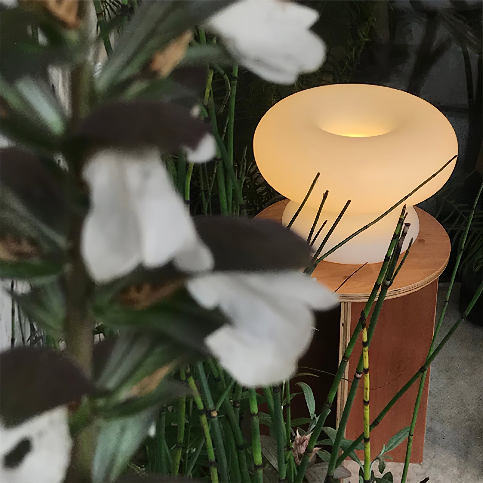 Stylish Donut Table Lamp - Modern LED Night Light for Bedroom, Living Room & Office Decor - Perfect for Reading, Relaxing & Creating Cozy Ambiance