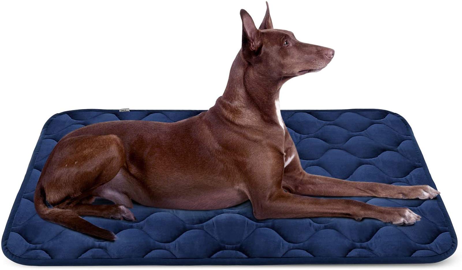 Extra Large 42 Inch Washable Dog Bed - Soft Non-Slip Crate Pad & Kennel Mat for Large Dogs - Comfortable Pet Sleeping Mattress for Crates, Floors & Travel Use