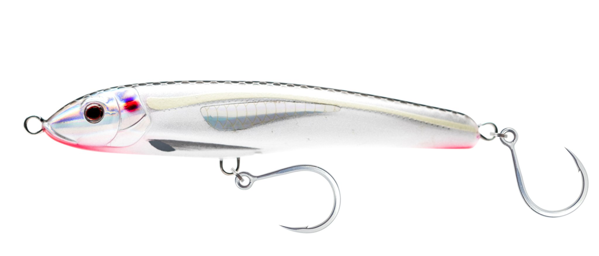 Blue Back Shad