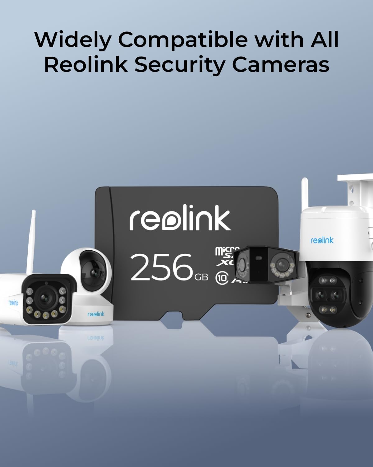 REOLINK 256GB microSDXC Memory Card 2 Pack - High Speed UHS-I Class 10 for 4K Video, Security Cameras, Dash Cams & Drones - Reliable Storage for Outdoor & Home Surveillance