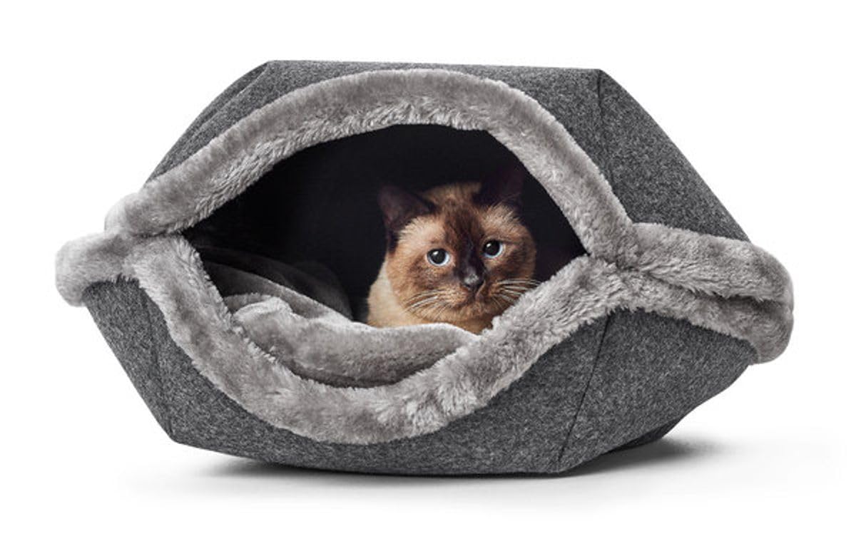 HUNTER Anthracite Lugano Cat and Dog Bed - 55 cm Orthopedic Pet Bed for Small & Medium Dogs & Cats - Perfect for Living Room, Bedroom & Pet Travel