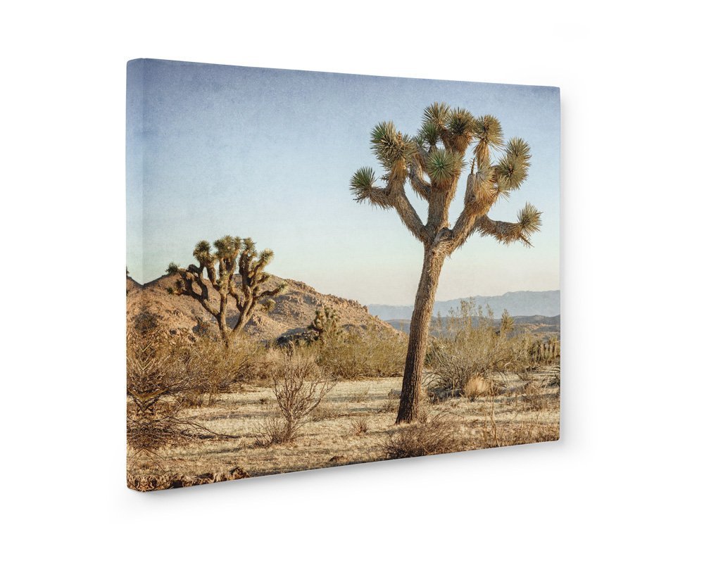 Large Format Canvas Print | Joshua Tree Wall Art | Southwestern Home Decor | California Desert Landscape Photography | Unframed Poster | Perfect for Living Room, Bedroom or Office Decor