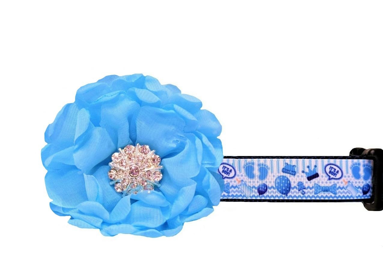 Blue 'It's a Boy' Dog Collar - Adjustable Pet Collar for Puppies & Small Dogs - Perfect for Birthdays, Grooming & Photo Shoots