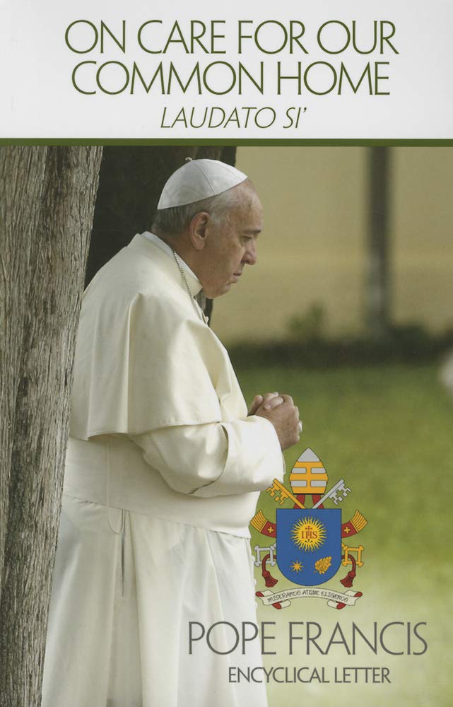 Laudato Si' - On Care for Our Common Home | Catholic Environmental Encyclical Book | Perfect for Faith-Based Study Groups & Eco-Conscious Readers