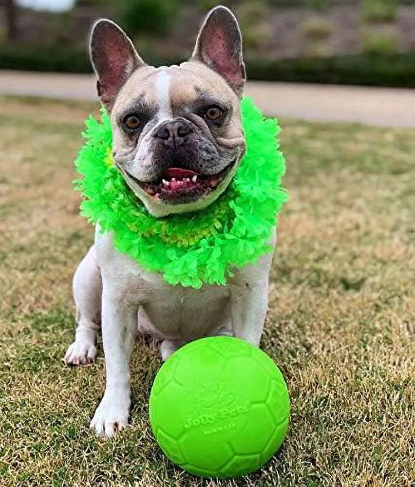 Green 6-Inch Apple Scented Rubber Soccer Ball Chew Toy for Dogs - Durable Puppy Teething Toy for Aggressive Chewers, Interactive Play & Training