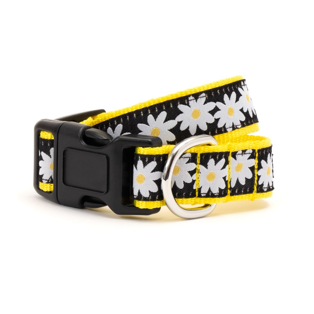 Stylish Black Lazy Daisy Dog Collar - Comfortable Pet Collar for Small & Medium Dogs - Perfect for Daily Walks, Training & Fashion Accessories