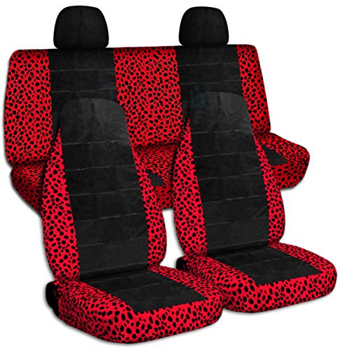 Ladybug & Black
