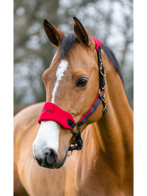 Le Mieux Vogue Fleece Headcollar and Lead Rope Set - Soft Horse Training Equipment for Riding, Grooming & Show Preparation