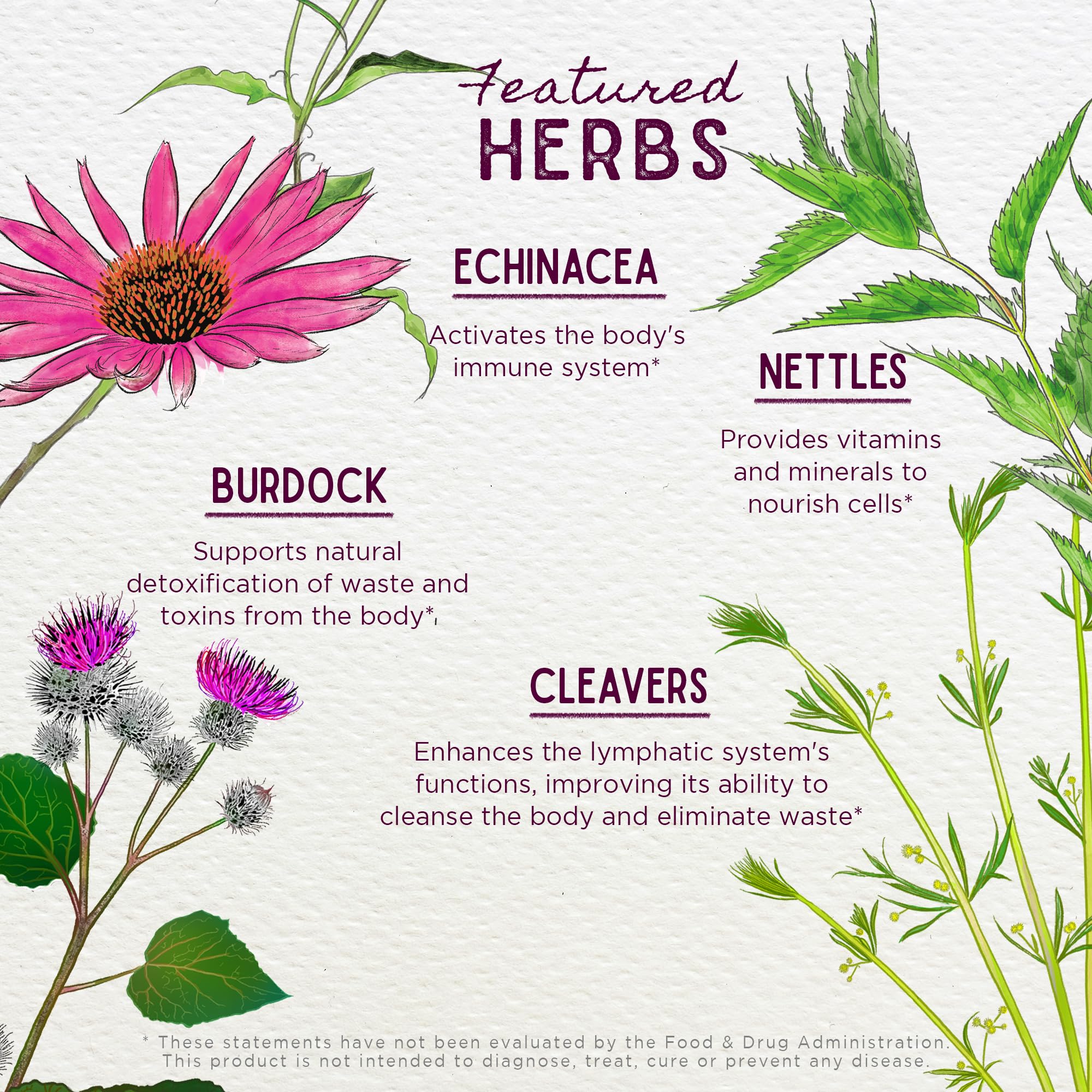 WishGarden Herbs Daily Immune Builder Supplement with Black Elderberry & Astragalus - Natural Immune Support Formula for Adults, Herbal Defense & Immune System Booster with Elderberries, 4oz - Perfect for Cold & Flu Season, Travel & Daily Wellness