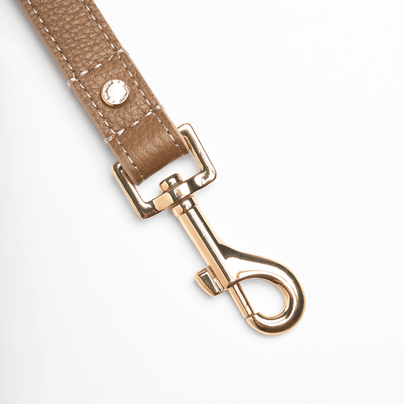 Premium Blushwood Leather Dog Leash - Durable & Stylish Pet Walking Accessory for Small Medium Large Dogs - Perfect for Daily Walks, Training & Outdoor Adventures
