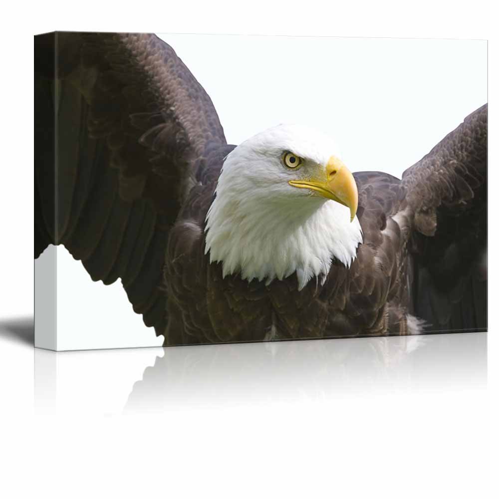 Wall26 - Eagle Canvas Wall Art - 32
