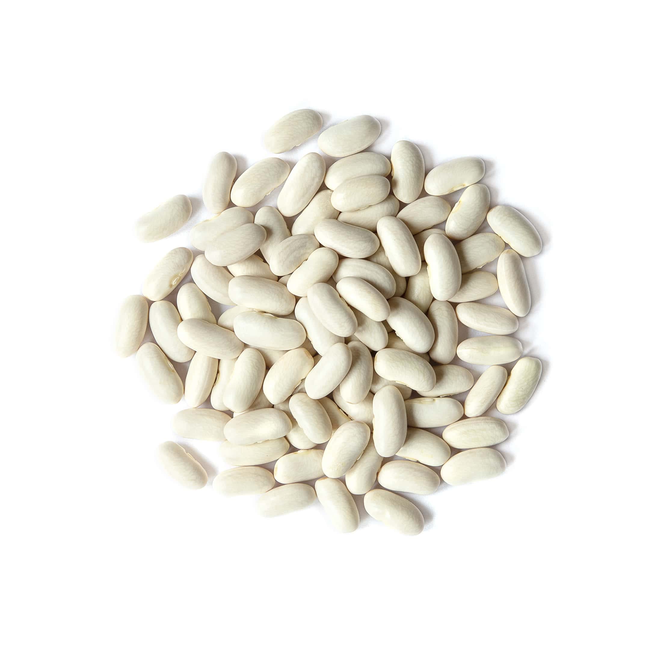 Food to Live Organic Cannellini Beans 15lbs | Non-GMO Dried White Kidney Beans | Sproutable Vegan Kosher Bulk Beans | High in Fiber & Protein | Perfect for Minestrone Soup, Bean Salad & Healthy Meal Prep
