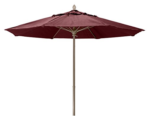 Burgundy with Champagne Bronze Pole