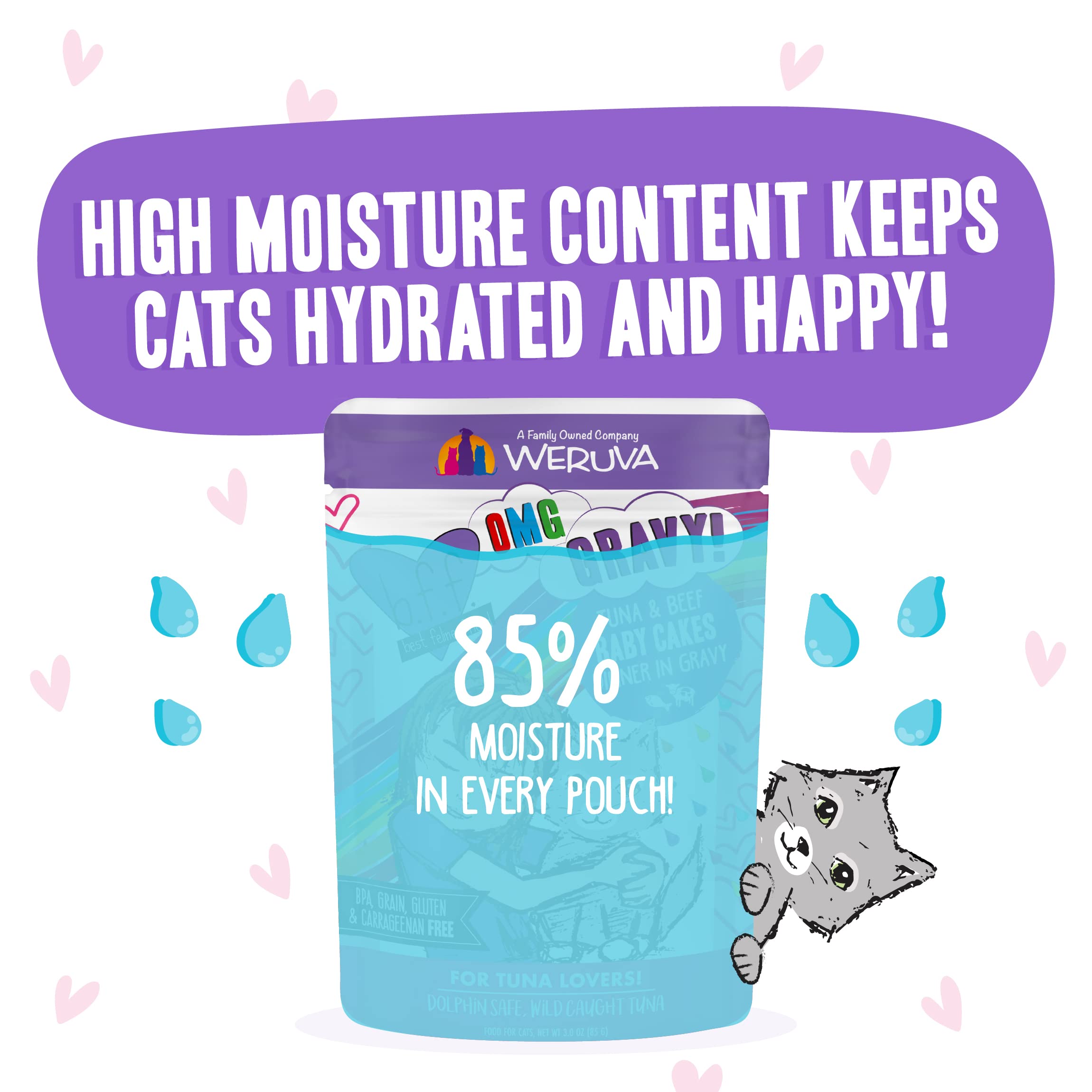 Weruva B.F.OMG Best Feline Friend Oh My Gravy! Tuna & Beef Baby Cakes in Gravy - Grain-Free Wet Cat Food, 3oz Pouch (Pack of 12) - High Protein, Natural Ingredients for Adult & Senior Cats - Perfect for Picky Eaters & Mealtime Enrichment