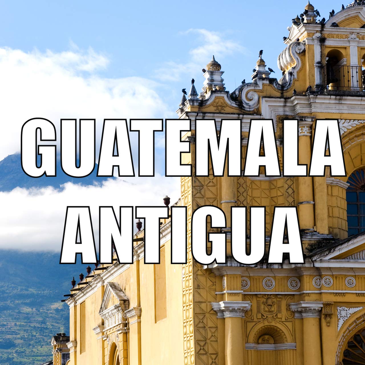 Premium Guatemala Antigua Single Origin Whole Bean Coffee - Medium Roast, USDA Organic, Fresh Roasted 5 lb Bag - Perfect for Home Brewing, Office Use & Gourmet Gifting