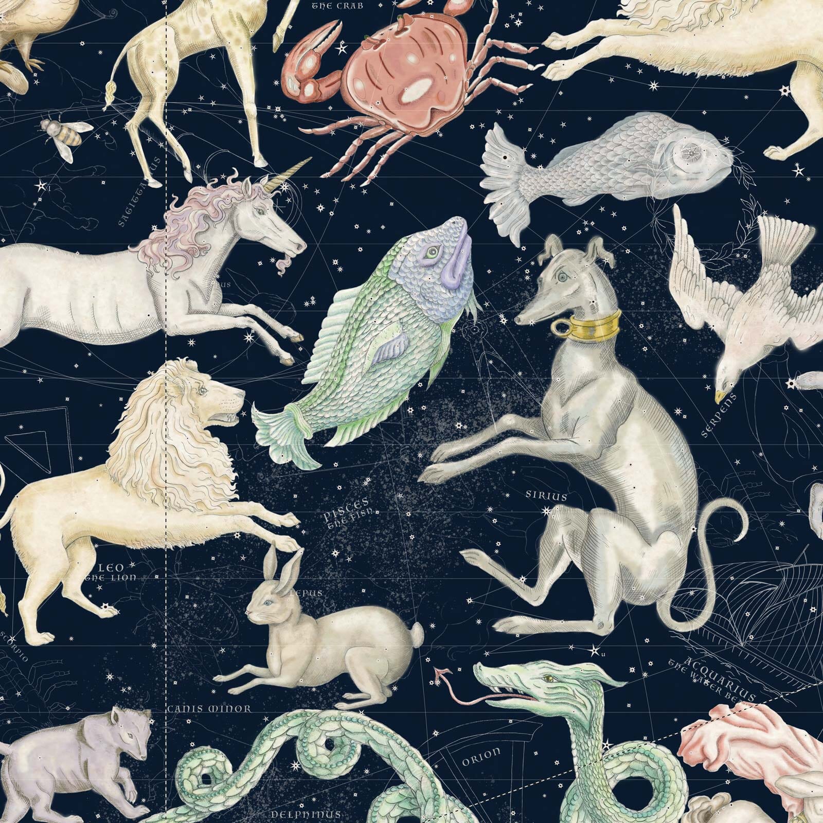 Premium COSMOS Midnight Wallpaper Sample - Self-Adhesive & Removable Wall Decor for Bedroom, Living Room, and Office