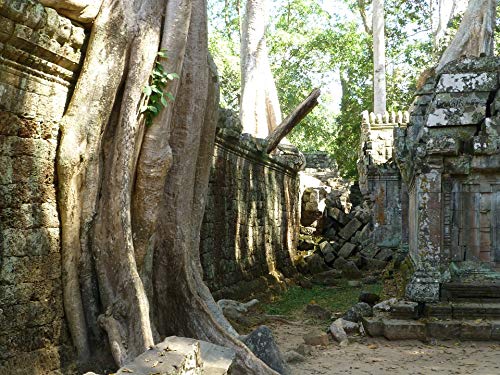 20x30 Inch Laminated Cambodia Siem Reap Temple Poster - Vibrant Colors & High-Quality Print - Perfect for Home Decor, Office Wall Art & Gift Giving