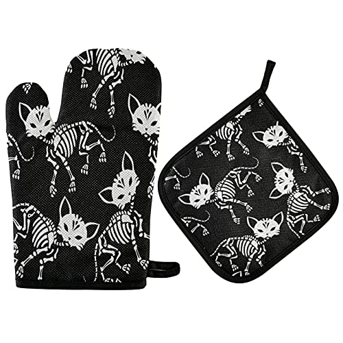 Skull Cat