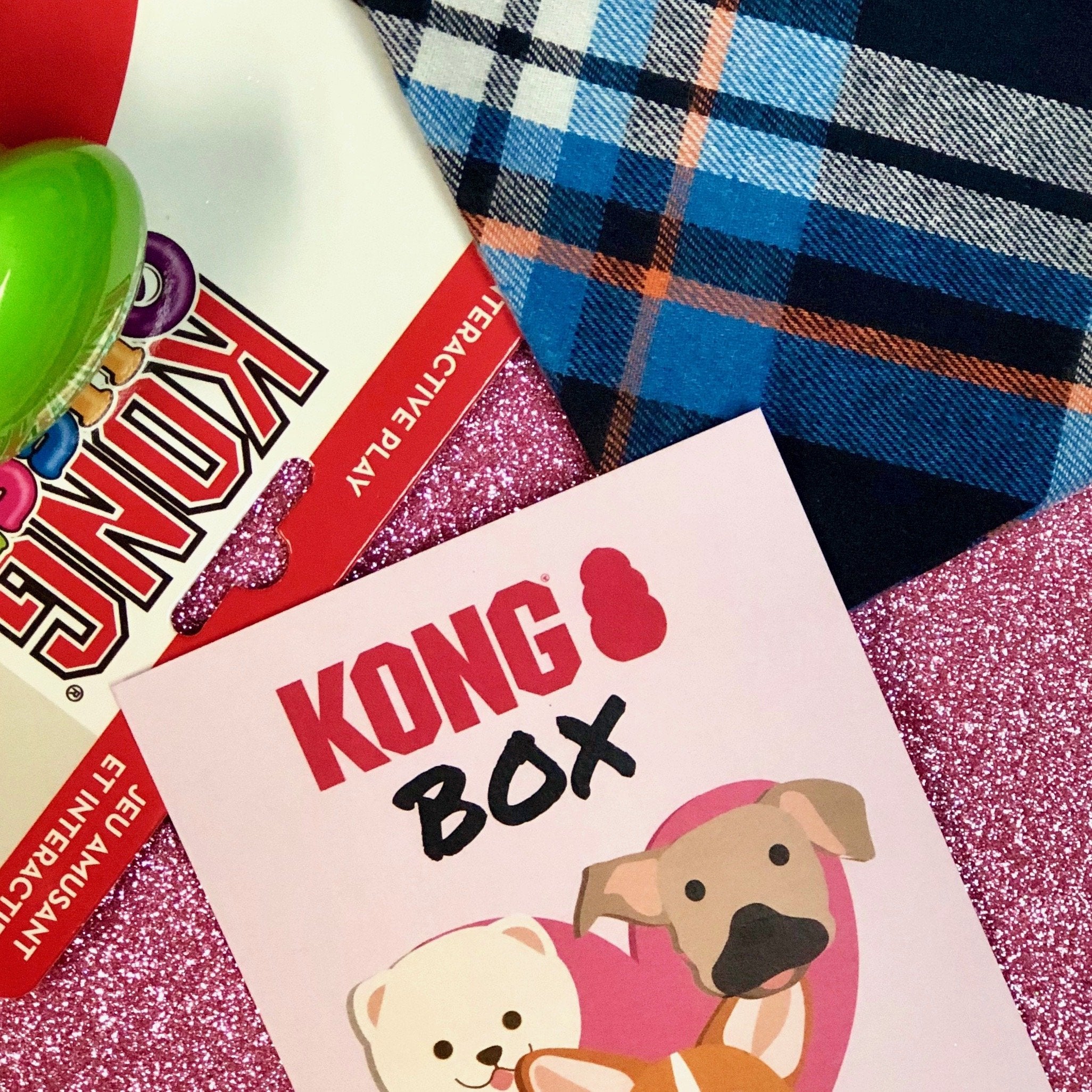 Kong Puppy Love Box - Durable Dog Chew Toys for Puppies, Interactive Treat Dispenser for Small & Medium Dogs - Perfect for Teething, Training & Playtime at Home or Outdoors