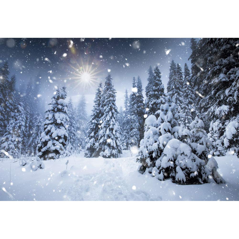 8x6ft Winter Backdrop with Falling Snowflakes & Glitter Dots - Frozen Wonderland Photography Background for Christmas, Xmas Eve Party, New Year Photo Booth & Studio Props | Perfect for Holiday Decorations, Family Portraits & Seasonal Events