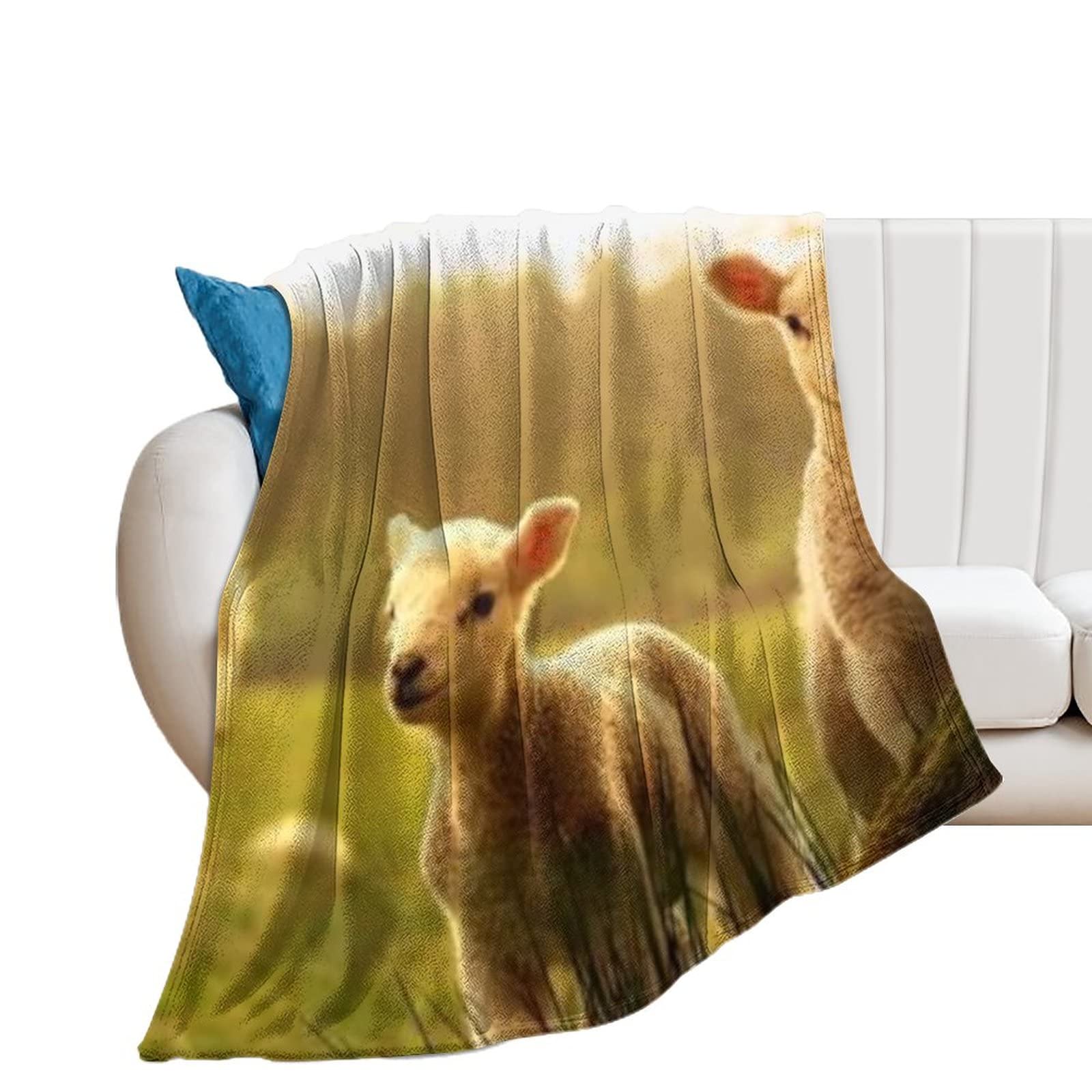 Soft Velvet Plush Spring Lamb Blanket - Cozy Warm Cute Sheep Throw for Chair, Bed, Sofa & Nursery | Perfect for Winter Snuggling, Baby Gifts & Home Decor