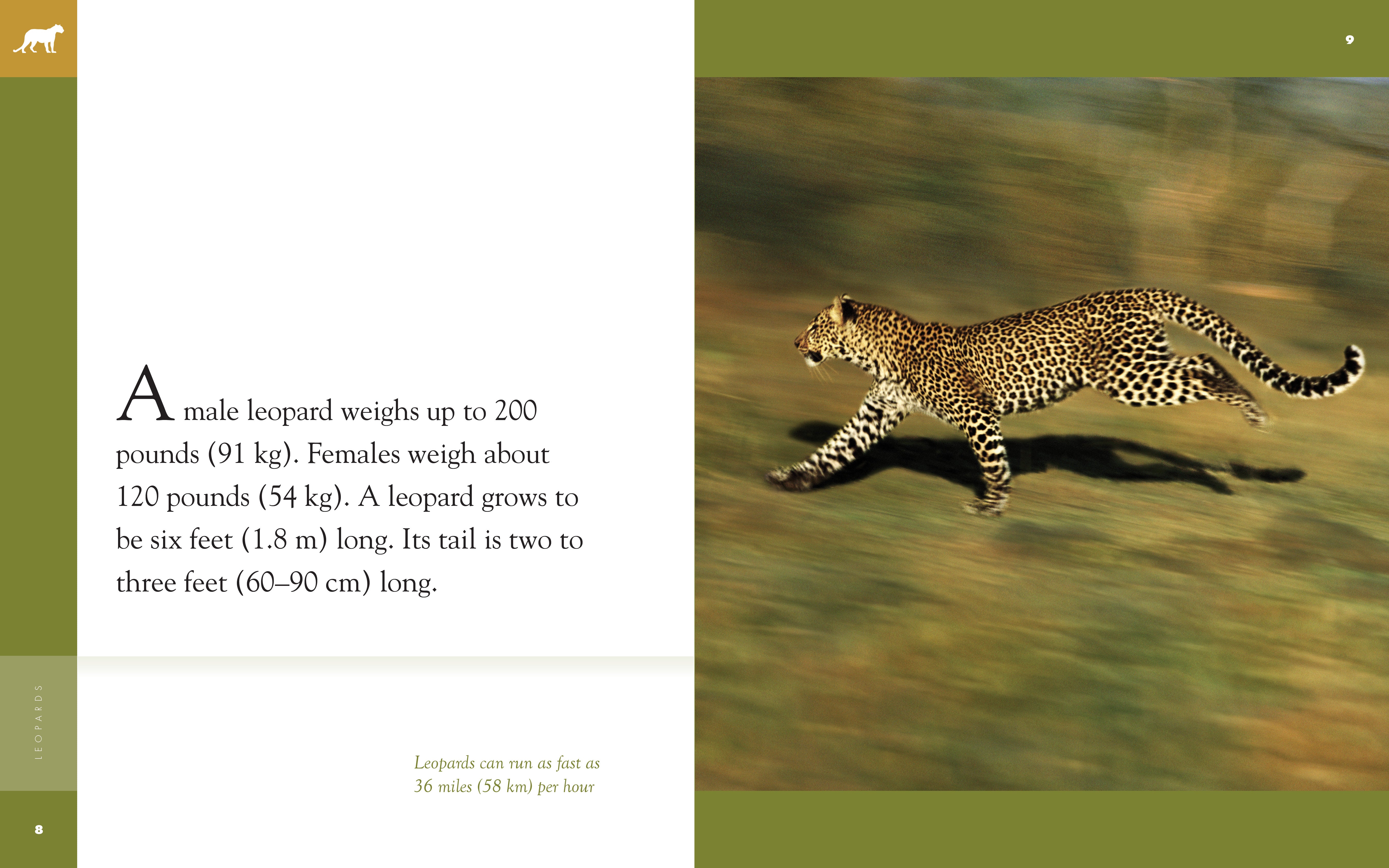 Amazing Animals (2014): Leopards - Wildlife Documentary DVD | Nature & Animal Lovers Gift | Perfect for Home Education & Classroom Learning
