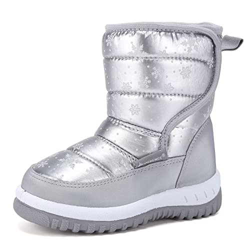 019.snow.silver