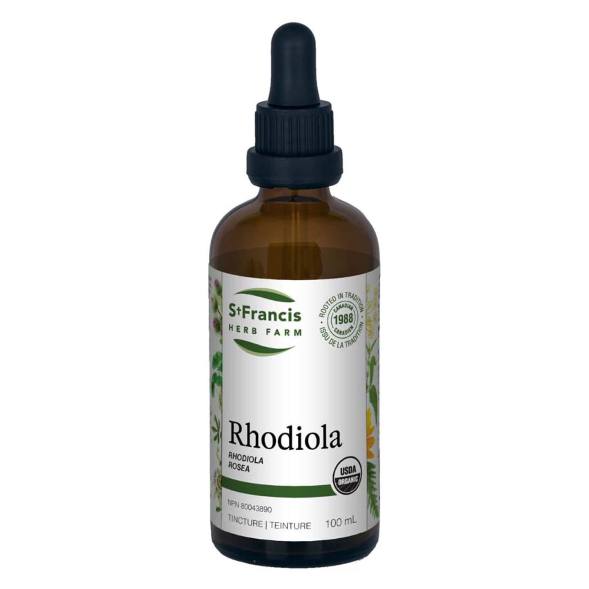 Premium Rhodiola Rosea Root Extract Supplement - Natural Stress Relief & Energy Booster for Focus, Mood & Immune Support - Perfect for Work, Study & Daily Wellness