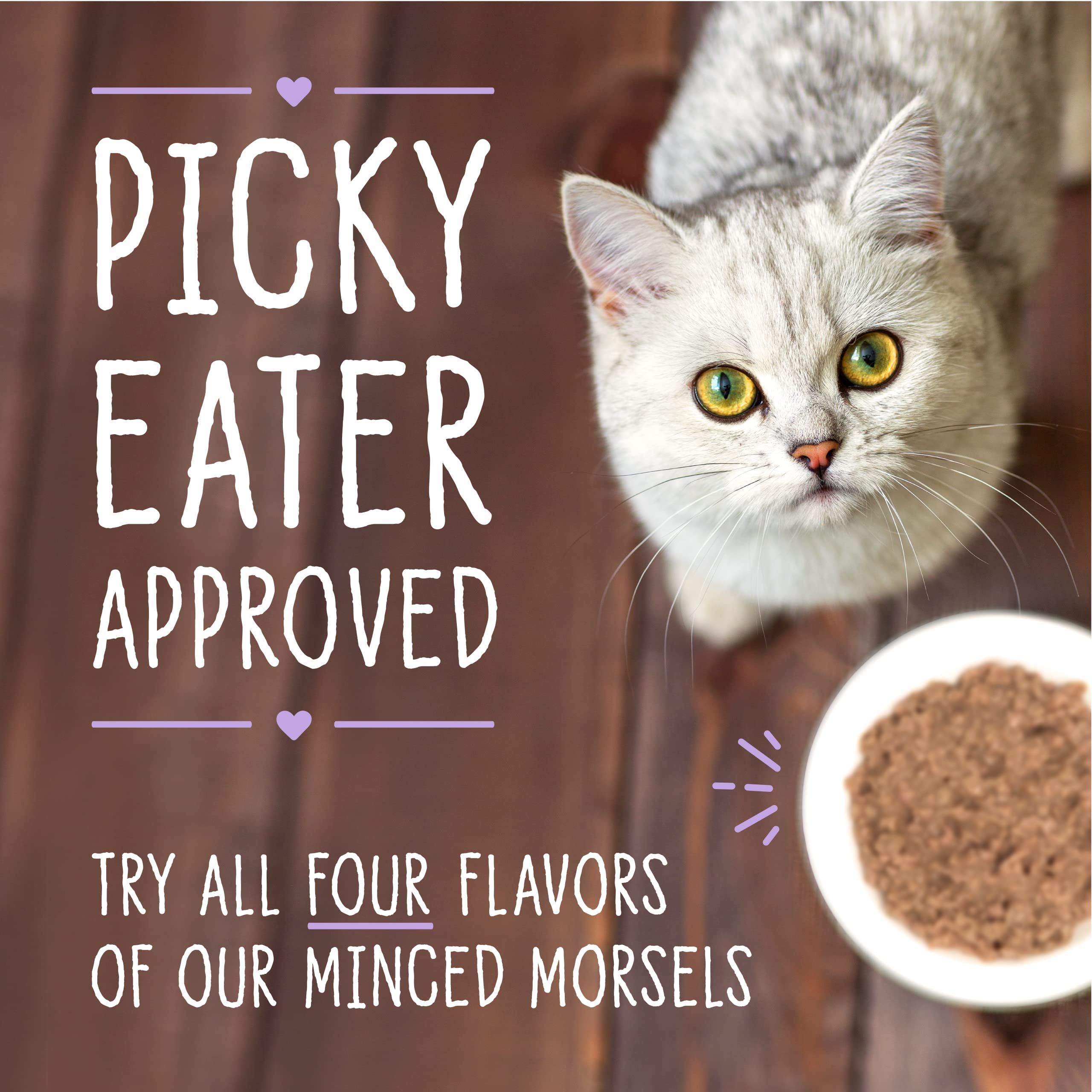 Stella & Chewy's Grain-Free Wet Cat Food - High Protein, Cage-Free Chicken & Duck Recipe in Minced Morsels (24 Pack of 2.8oz Cans) - Perfect for Picky Eaters & Sensitive Stomachs