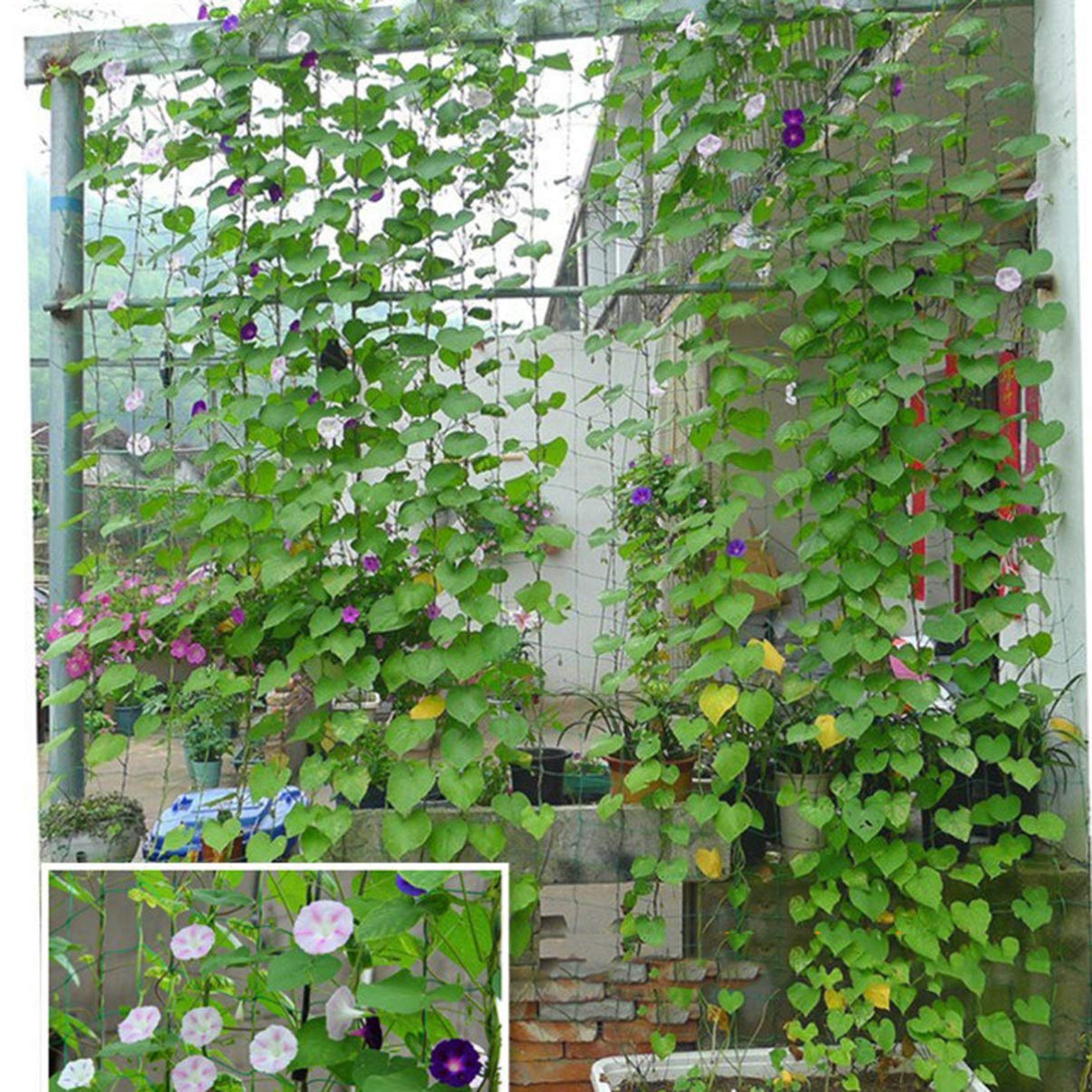 DOITOOL 3-Pack Garden Netting for Petunias & Climbing Vines - Durable Plant Support Mesh for Vertical Gardening, Trellis Net for Flowers, Vegetables, and Fruits - Perfect for Backyard, Balcony, and Greenhouse Use