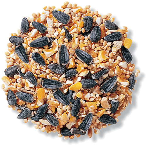 Premium Wild Bird Seed for Backyard Feeding - 5 lb Bag - Attracts Cardinals, Finches & More - Ideal for Bird Feeders & Outdoor Wildlife Watching