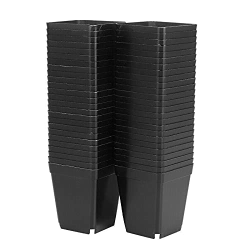 50pcs Mini Plastic Flower Pots for Plants - 7cm x 7cm Black Nursery Pots for Indoor & Outdoor Gardening, Succulents, Seedlings, and Home Decor