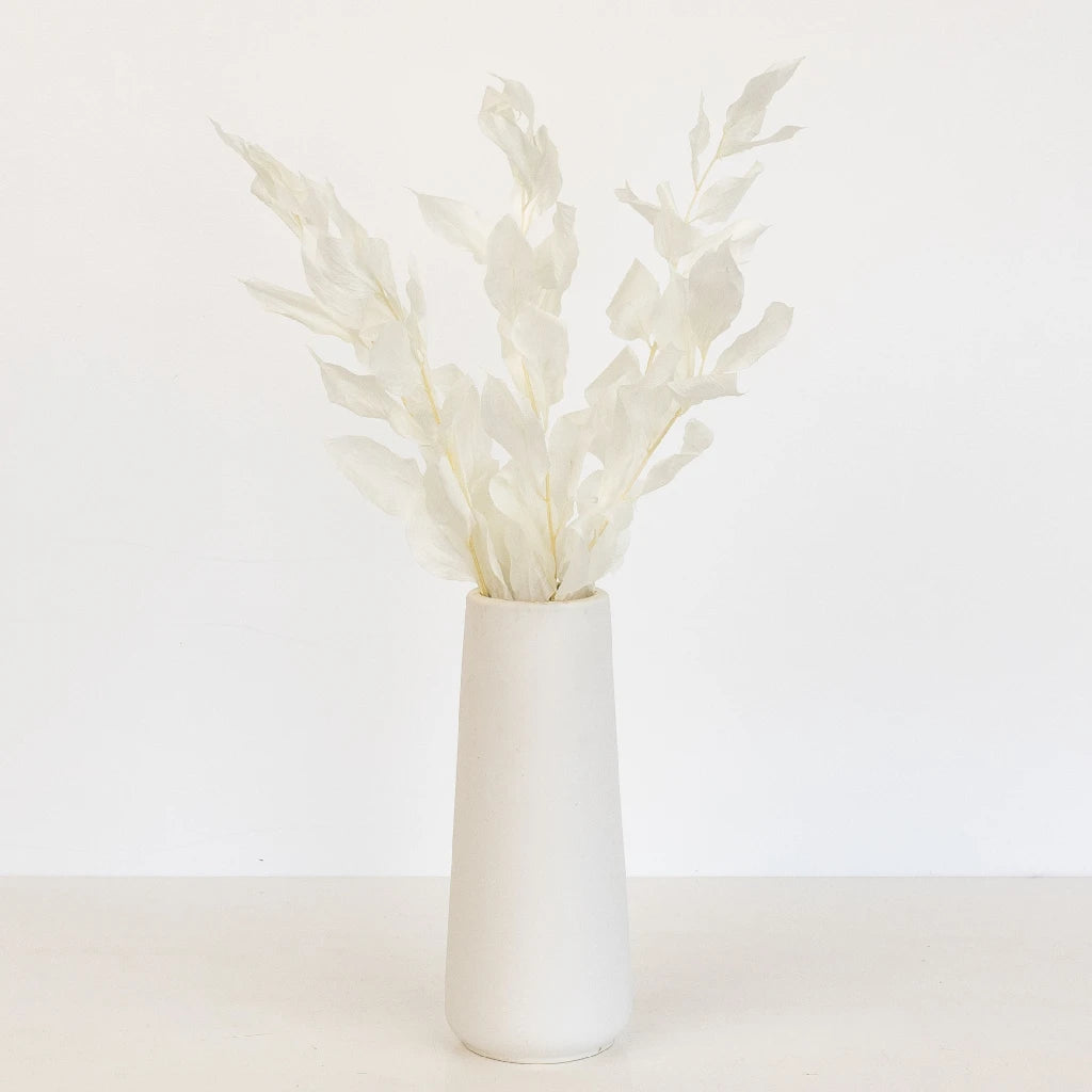 Premium Bleached Dried Ruscus Greenery - Natural Wedding Bouquet Filler, Home Decor & Floral Arrangements for Rustic, Boho and Farmhouse Style